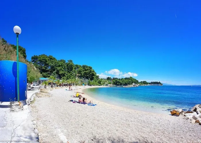 With Garden Ana * Σπλιτ